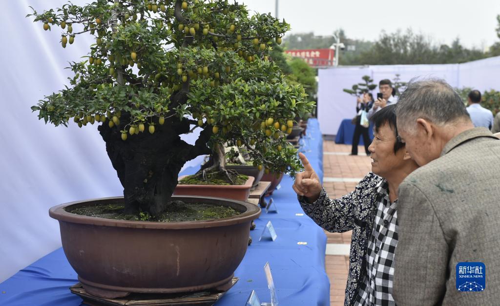 手机购彩平台网址